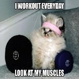 Kitty's Muscles