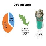 World Food Waste