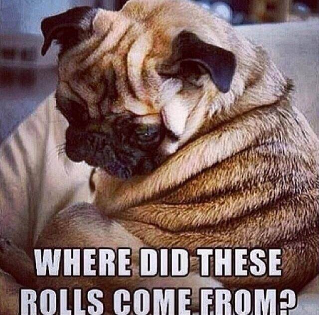 Where Did Those Rolls Come From?